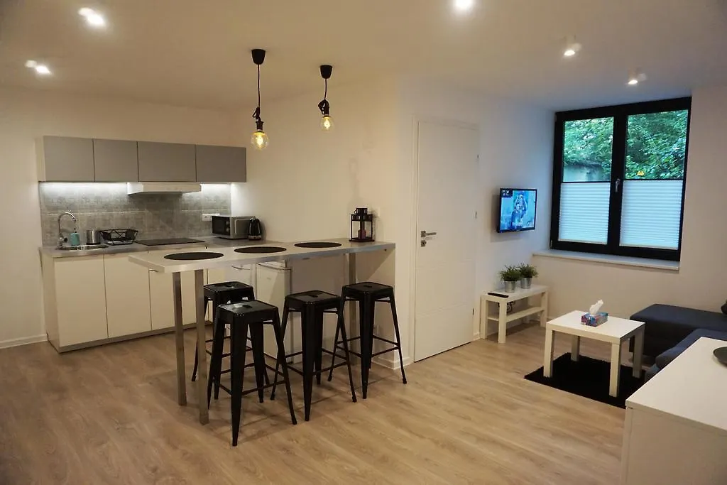 Apartament Atelier Lägenhet Krasków